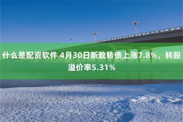 什么是配资软件 4月30日新致转债上涨7.8%，转股溢价率5.31%