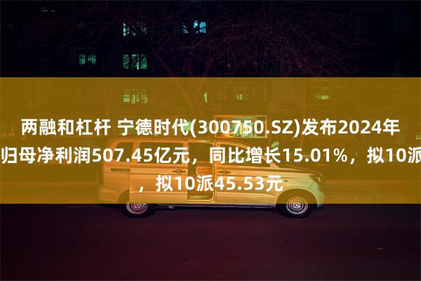 两融和杠杆 宁德时代(300750.SZ)发布2024年度业绩，归母净利润507.45亿元，同比增长15.01%，拟10派45.53元