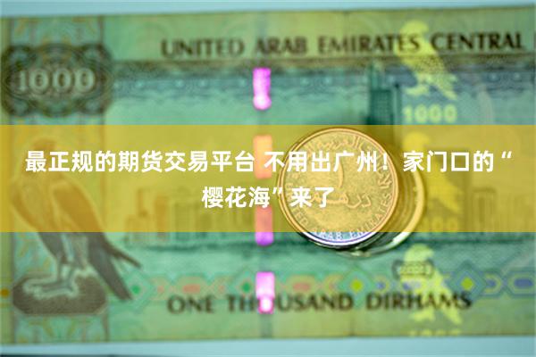 最正规的期货交易平台 不用出广州！家门口的“樱花海”来了