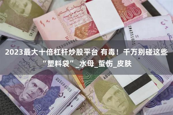 2023最大十倍杠杆炒股平台 有毒！千万别碰这些“塑料袋”_水母_蜇伤_皮肤