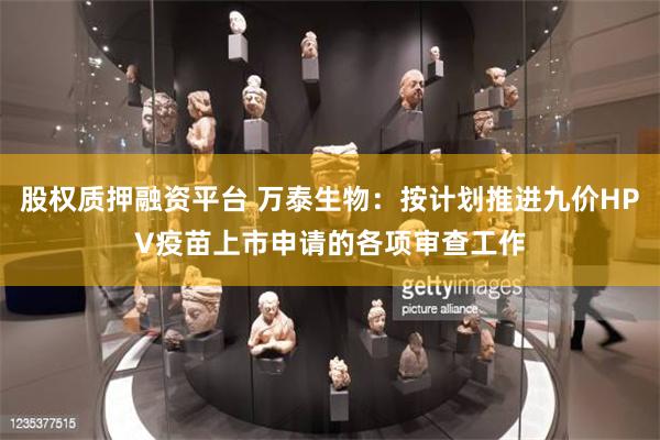 股权质押融资平台 万泰生物：按计划推进九价HPV疫苗上市申请的各项审查工作