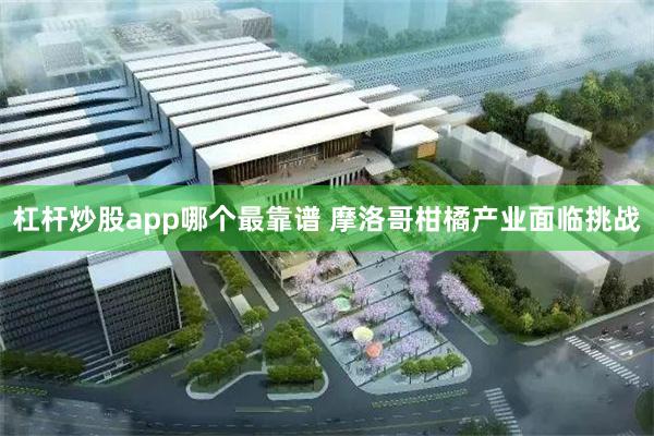 杠杆炒股app哪个最靠谱 摩洛哥柑橘产业面临挑战