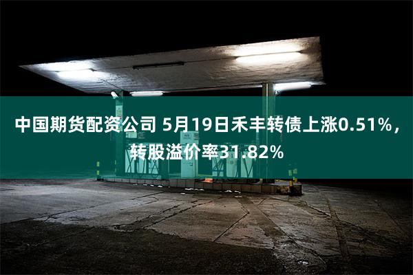 中国期货配资公司 5月19日禾丰转债上涨0.51%，转股溢价率31.82%