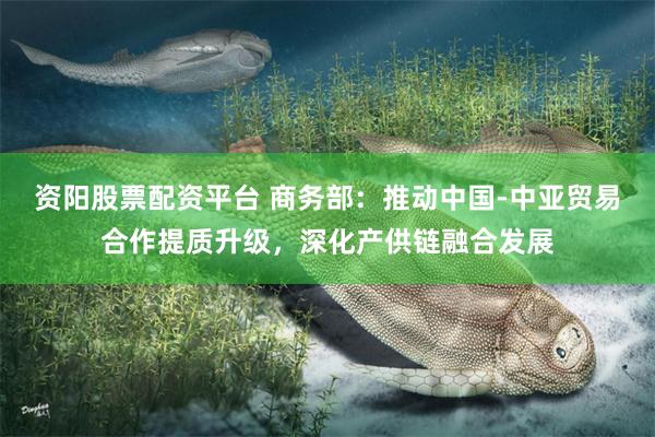 资阳股票配资平台 商务部：推动中国-中亚贸易合作提质升级，深化产供链融合发展